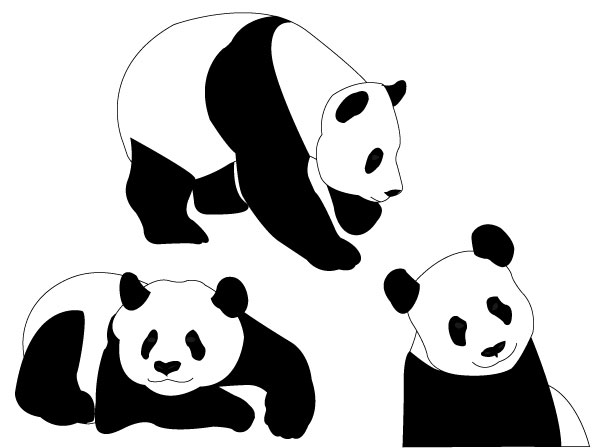 Panda Bears Vector