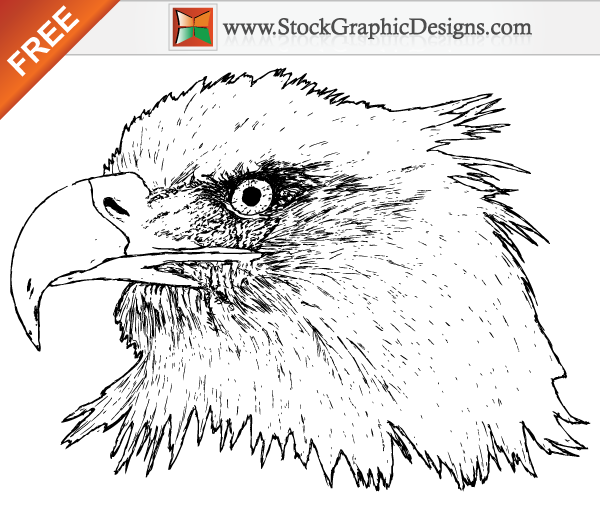 Free Hand Drawn Eagle Vector Graphics Free Hand Drawn Eagle Vector Graphics