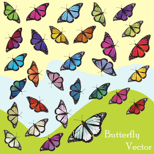 Butterfly Free Vector Art Butterfly Free Vector Art