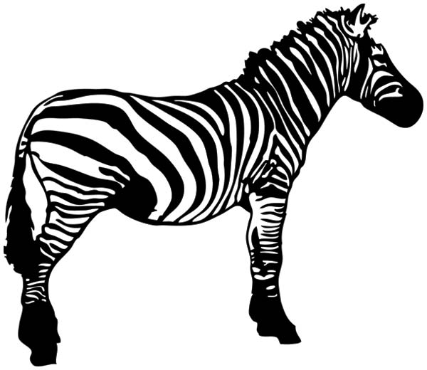 zebra design clip art - photo #44