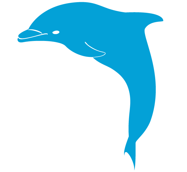 Vector Dolphin