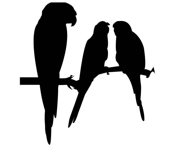 Parrot Silhouettes Vector