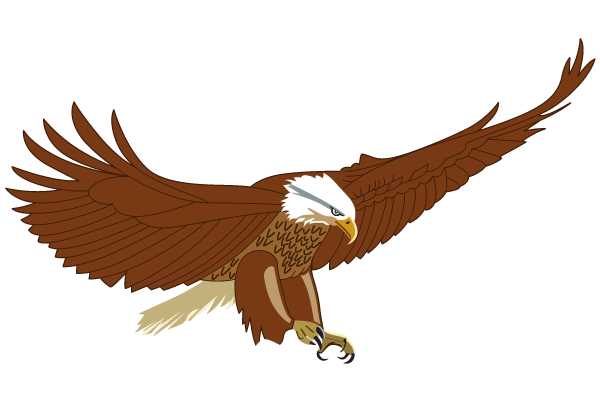 Flying American Eagle Vector Art