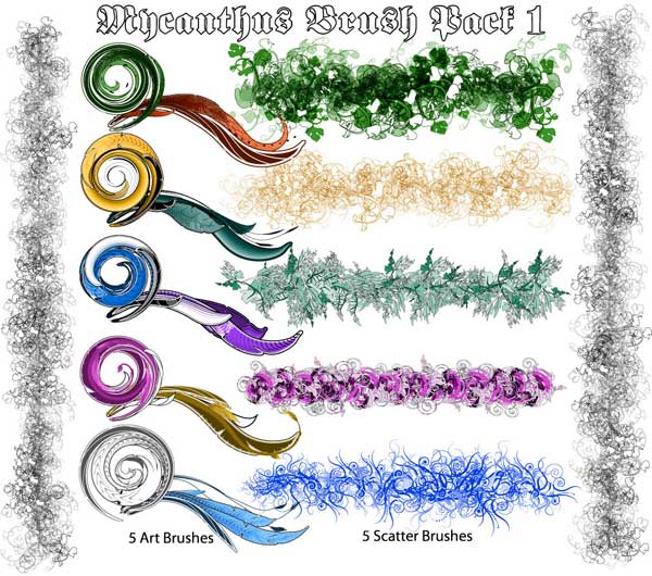 Mycanthus Illustrator Brush Pack Download Free Vector Art FreeVectors