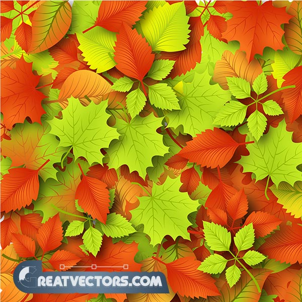 Autumn Leaves Background Vector Image