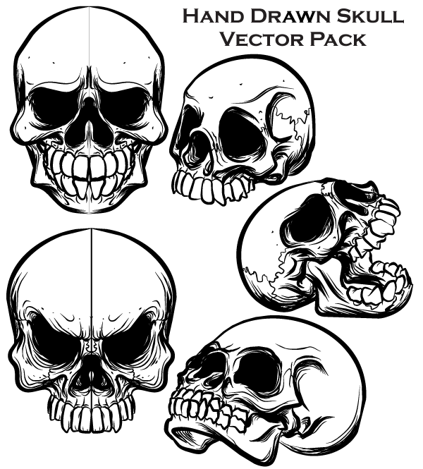 Hand Drawn Skull Free Illustrator Vector Pack