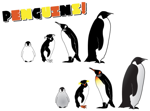 Penguins Vector