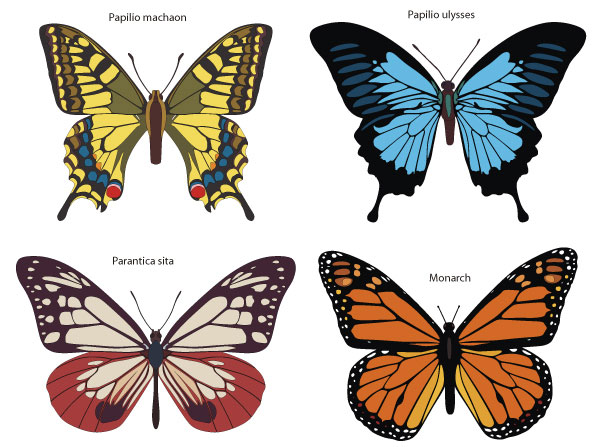 free butterfly vector clip art - photo #50