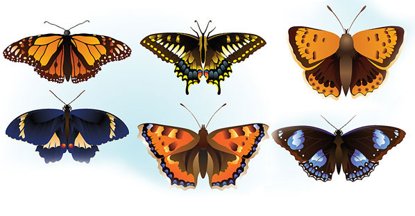 Free Butterfly Vector Graphics