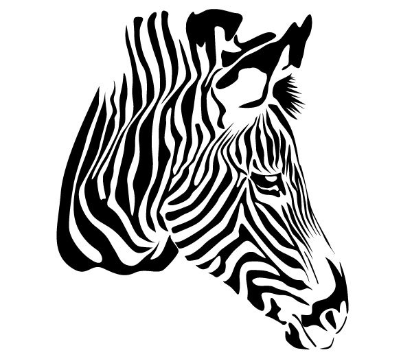 Free Zebra Head Vector Free Zebra Head Vector