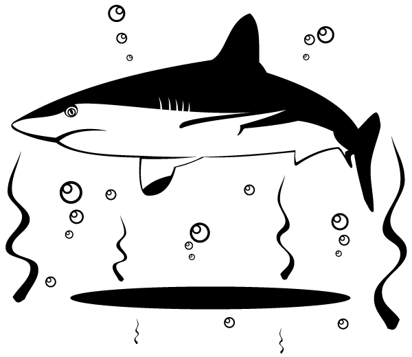Shark Vector Image Shark Vector Image
