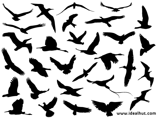 Vector Flying Bird Silhouettes Vector Flying Bird Silhouettes