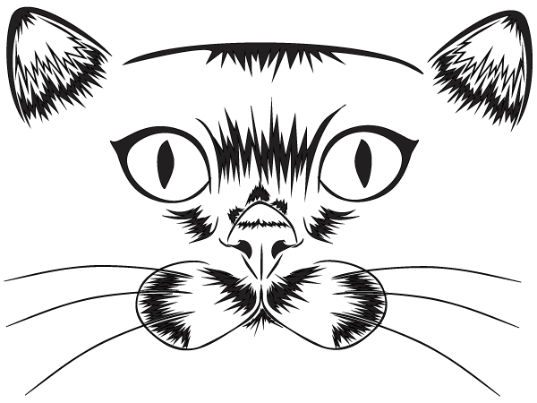 Vector Cat Vector Cat