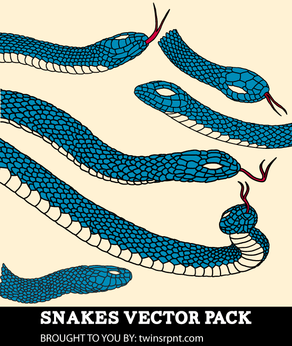 Vector Snake Illustrator Pack