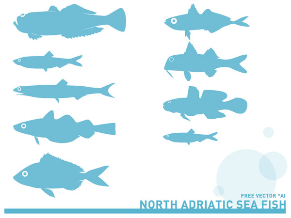 Vector Adriatic Sea Fish Silhouettes Vector Adriatic Sea Fish Silhouettes