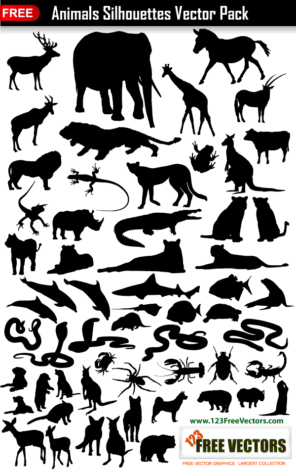 Vector