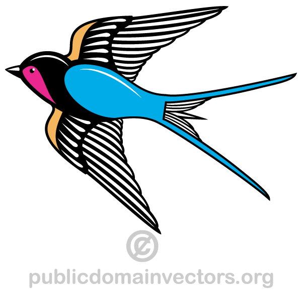 Flying Swallow Bird Vector Image