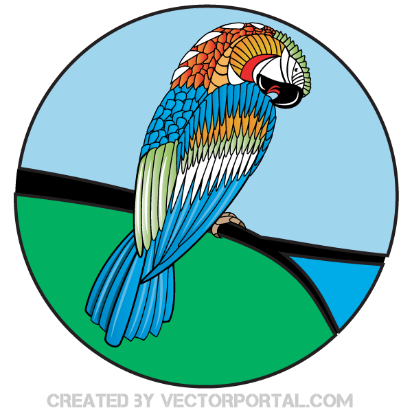 Parrot Vector Image Parrot Vector Image