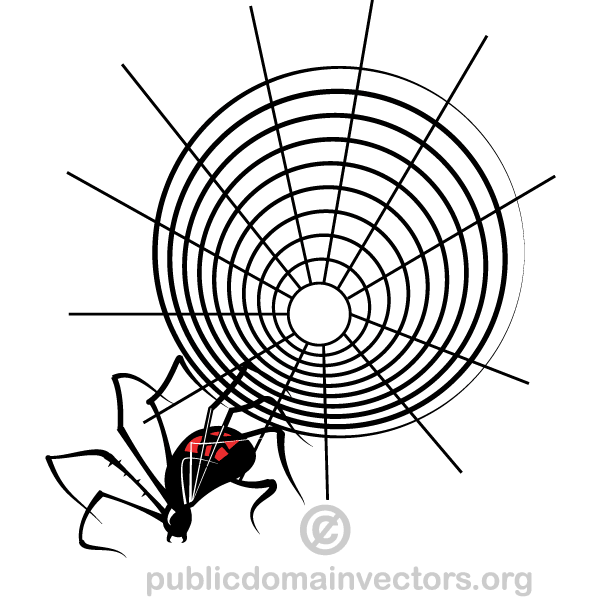 Spider Web Vector Graphics Spider Web Vector Graphics