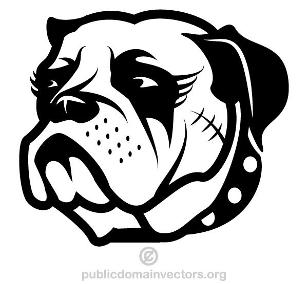 Dog Head Vector Image