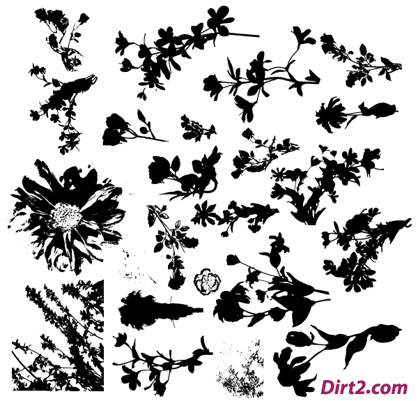 Free Floral Silhouette Illustrator Vector Pack