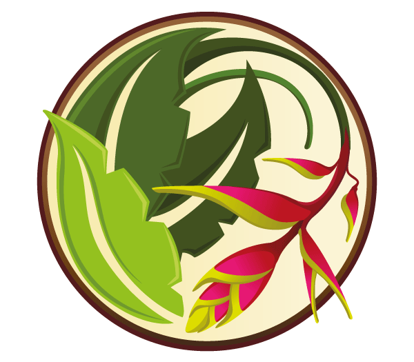 Vector Tropical Flower Graphics Vector Tropical Flower Graphics