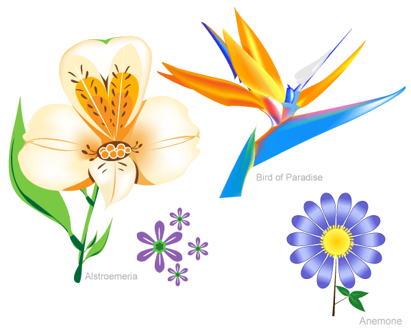 Vector Flowers Set