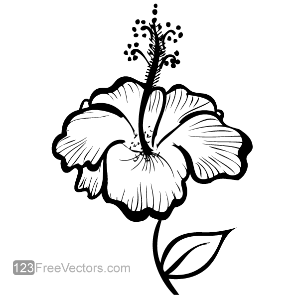Free Free 143 Hibiscus Flower Outline Svg SVG PNG EPS DXF File