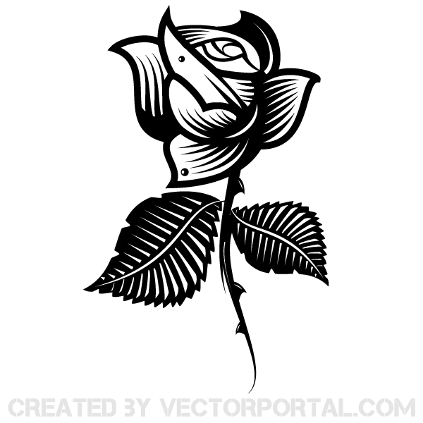 rose clipart vector - photo #50