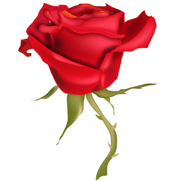 Red Rose Flower Art