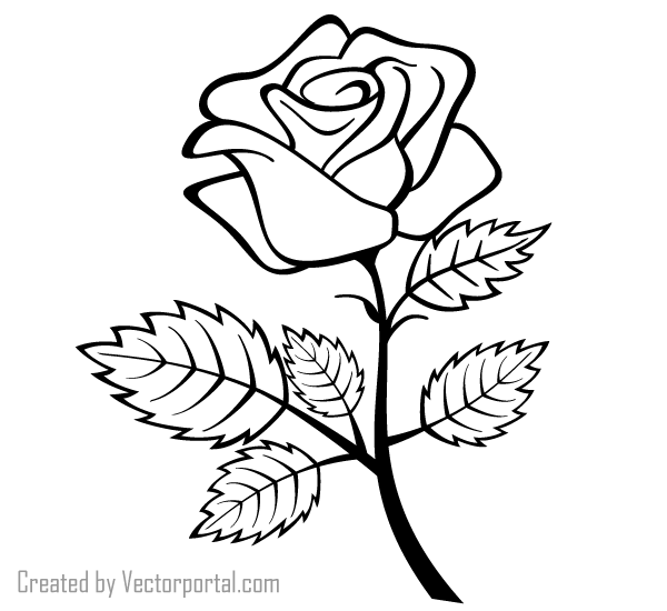 Rose Outline Vector Image