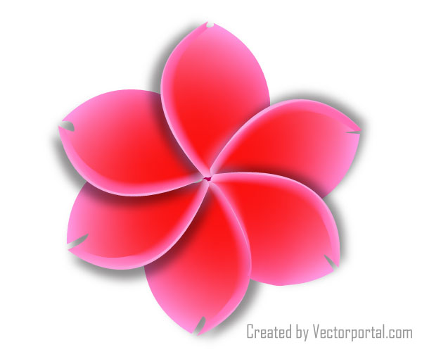 Vector Flower Vector Flower