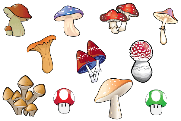 vector free download mushroom - photo #2