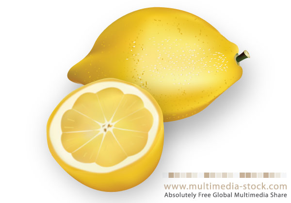 Lemon Vector