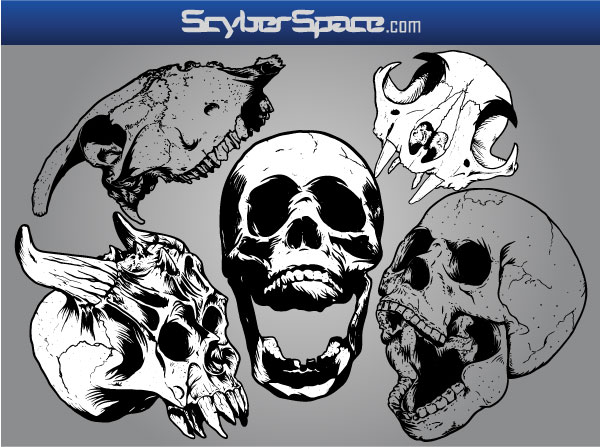 Skull Vector Pack Skull Vector Pack
