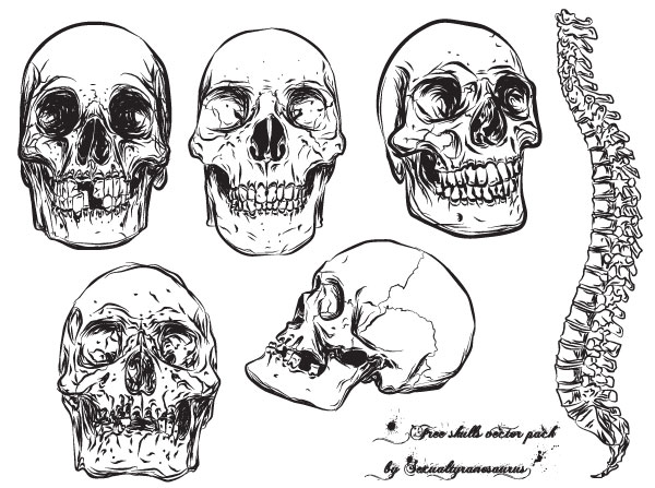 free skull vector