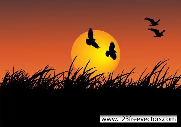 Sunshine Vector Sunshine Vector