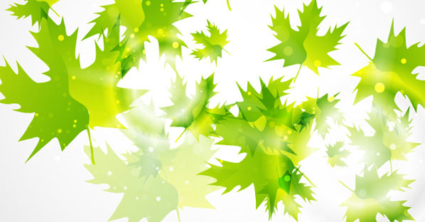 Green Leaf Background