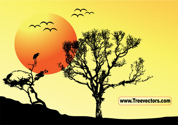 Sunset Vector Tree Background