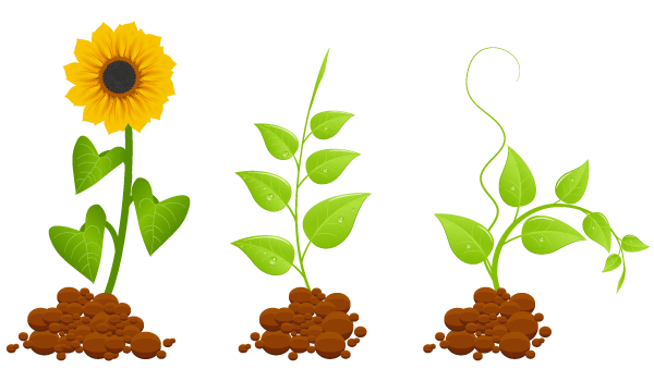 Eco Germinal Plants Free Vector