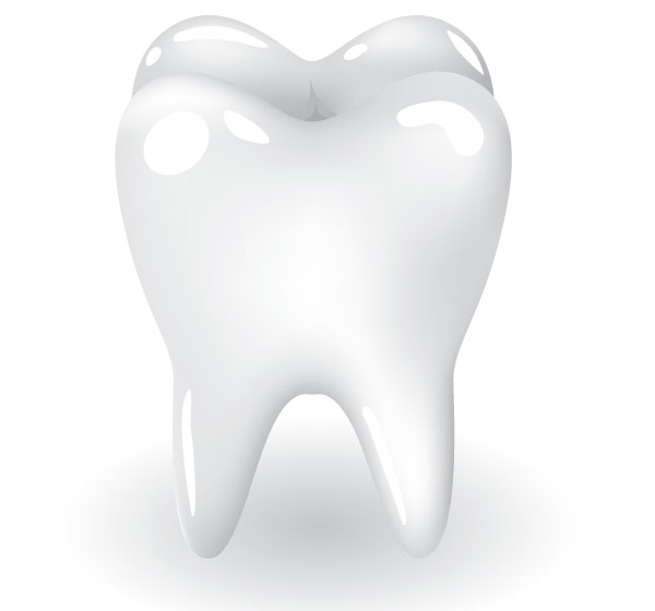 Free Tooth Vector Art Free Tooth Vector Art