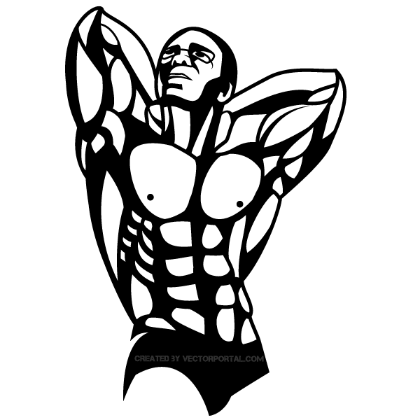 Bodybuilder Vector Graphics