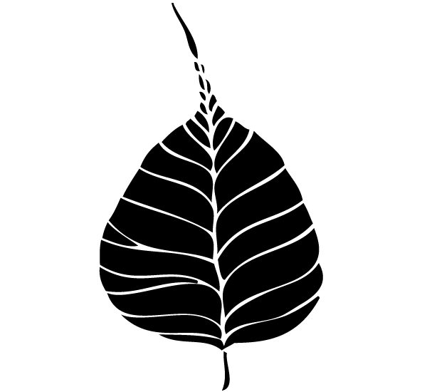 Vector Bodhi Leaf Vector Bodhi Leaf