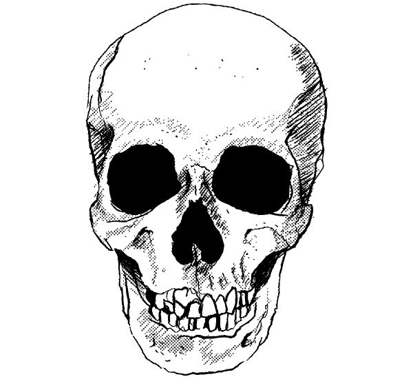 skull clipart free download - photo #19