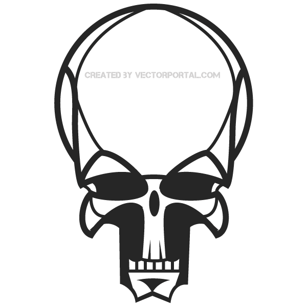 Human Skull Vector Image